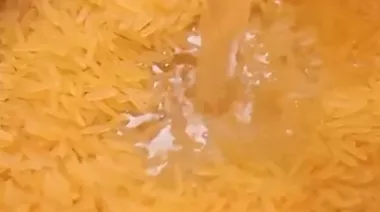 Phulkari Pulao with saffron rice, nuts, peas, and paneer served in a brass bowl